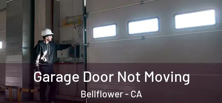  Garage Door Not Moving Bellflower - CA