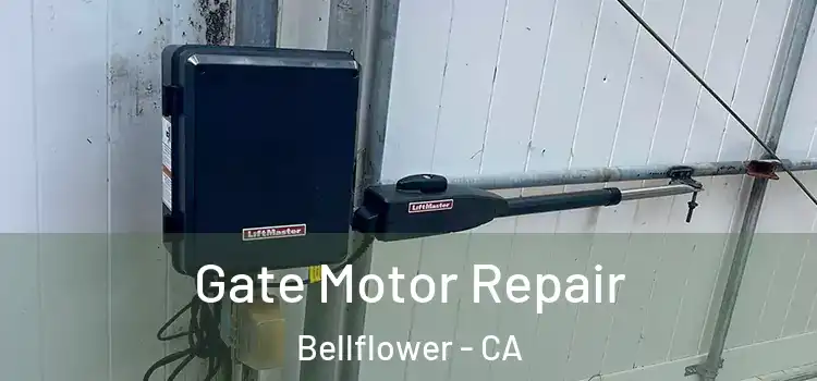 Gate Motor Repair Bellflower - CA