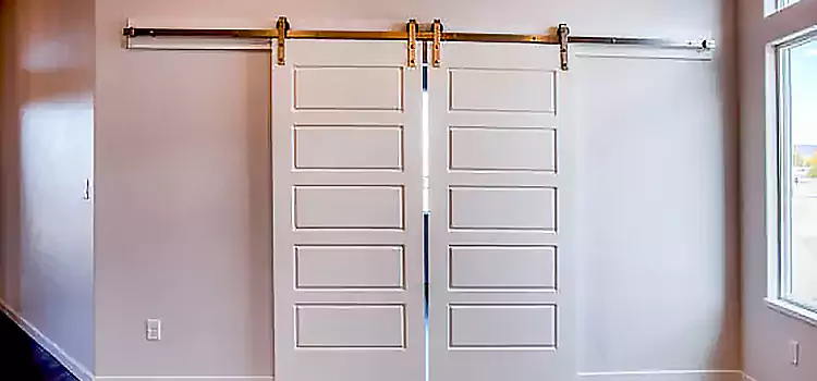 Glass Barn Door with Installation Hardware Kit Bellflower