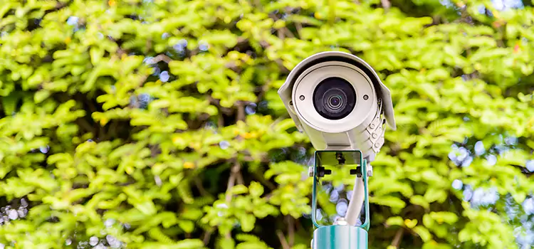 Advanced Surveillance Solutions for Every Need in Bellflower