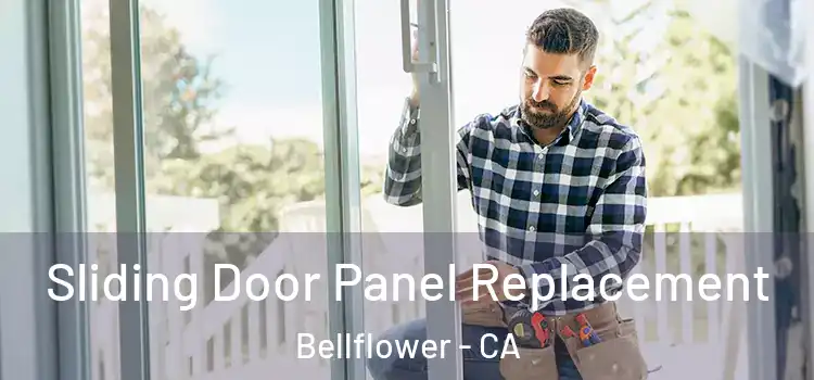  Sliding Door Panel Replacement Bellflower - CA
